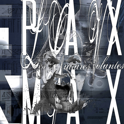 PAX MAX cover front icon
