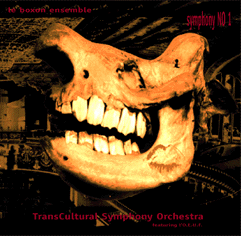 POCHETTE DU PREMIER DISQUE DU tRANS6cULTURAL sYN6PHÖNË oRCHESTRA