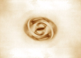 inside the center of the 4th womb