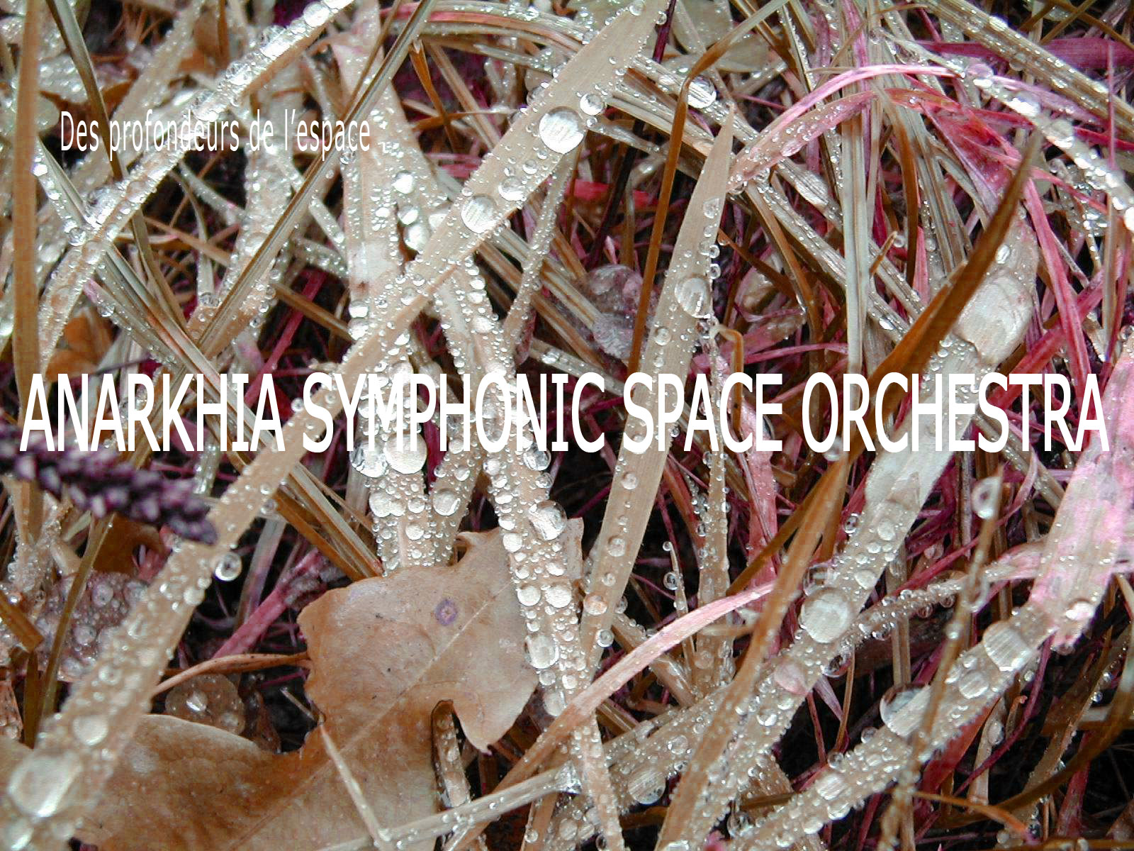 ANARKHIA SYMPHONIC SPACE ORCHESTRA poster
