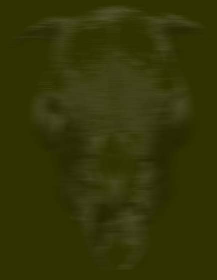 alien portrait from cooked exile